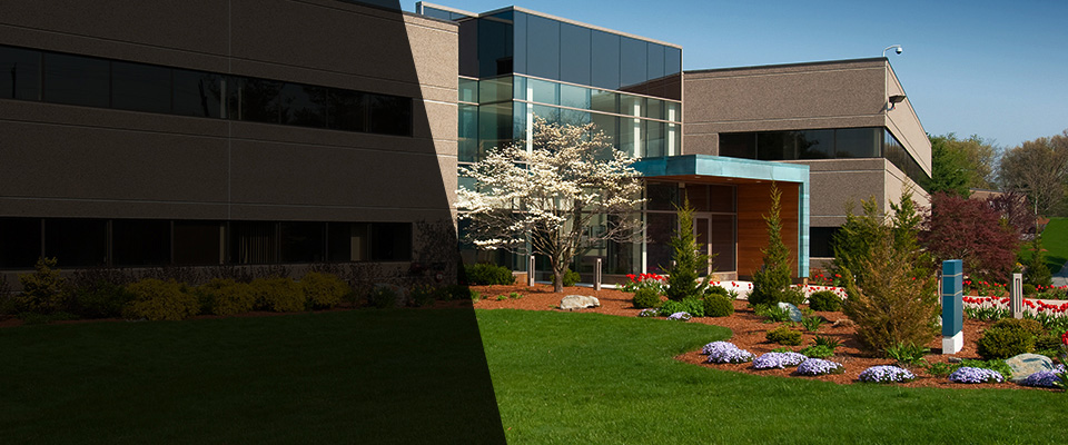 Floral City Landscapers